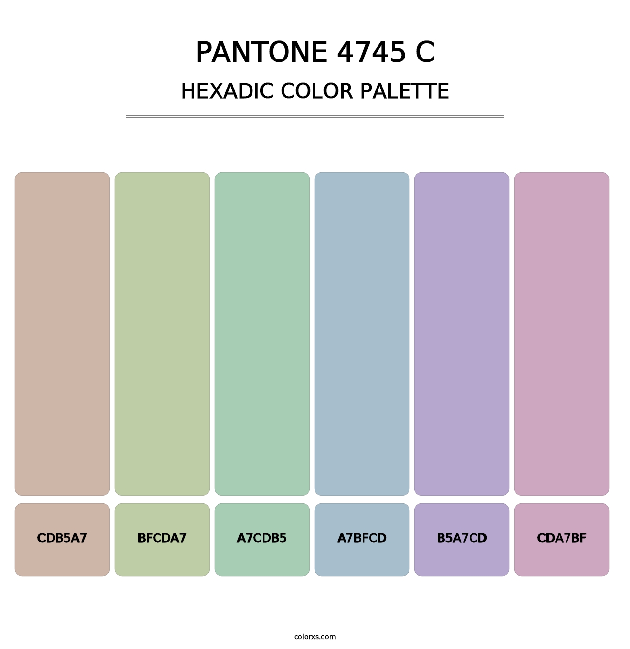 PANTONE 4745 C - Hexadic Color Palette