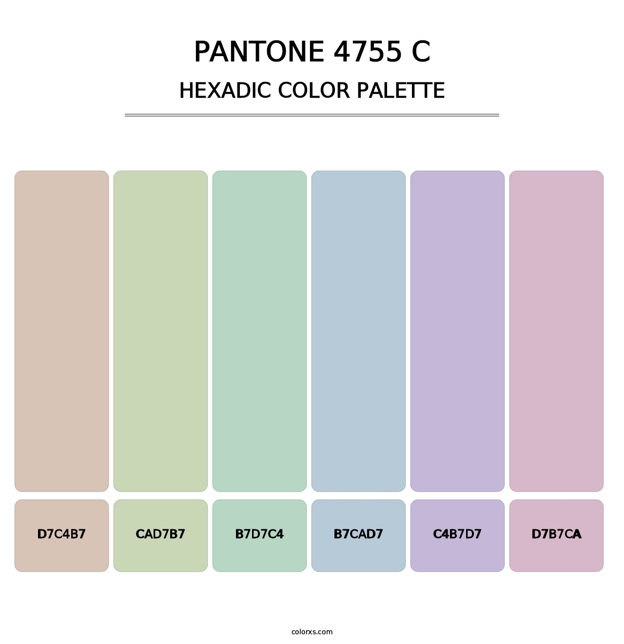 PANTONE 4755 C - Hexadic Color Palette