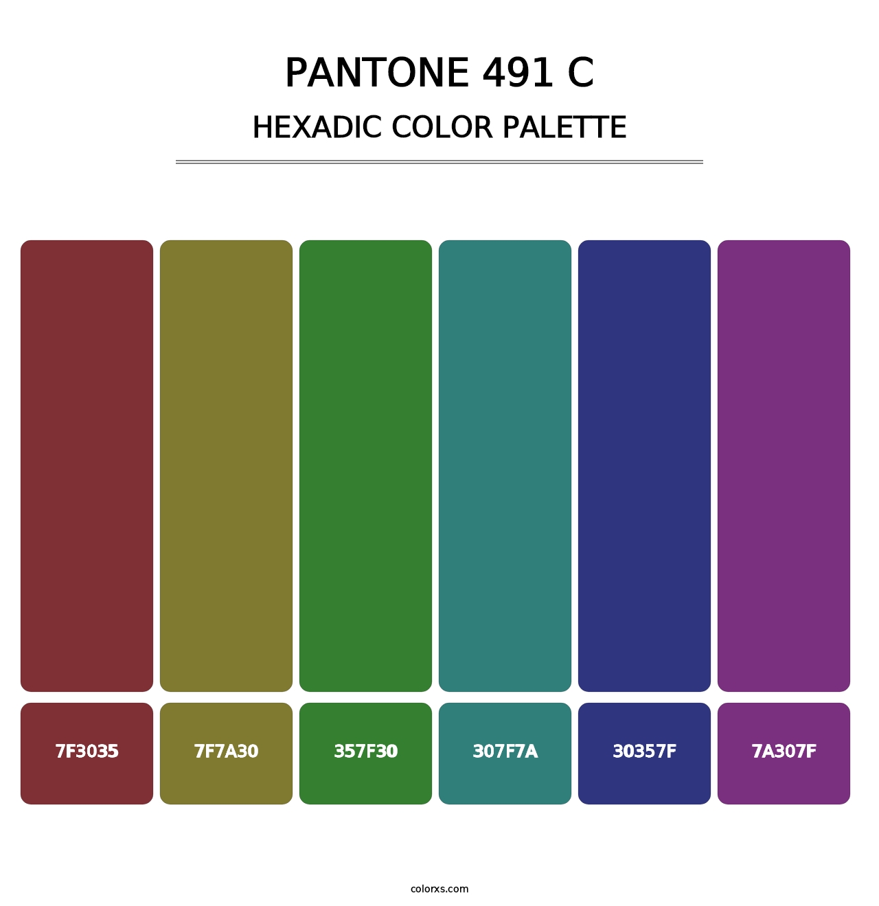 PANTONE 491 C - Hexadic Color Palette