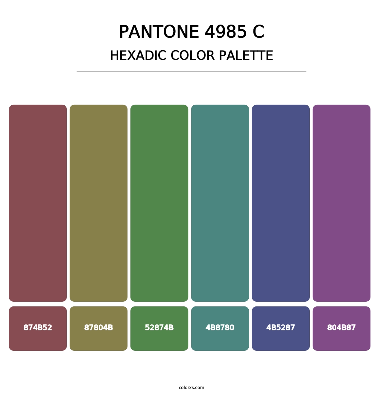 PANTONE 4985 C - Hexadic Color Palette
