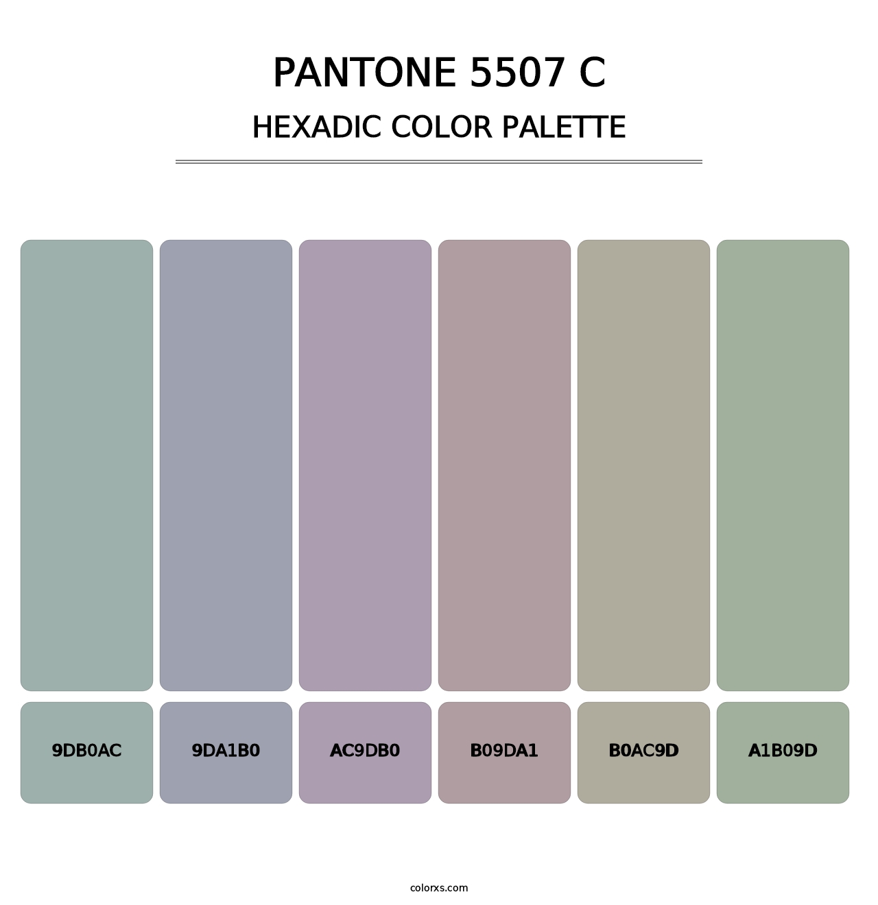 PANTONE 5507 C - Hexadic Color Palette