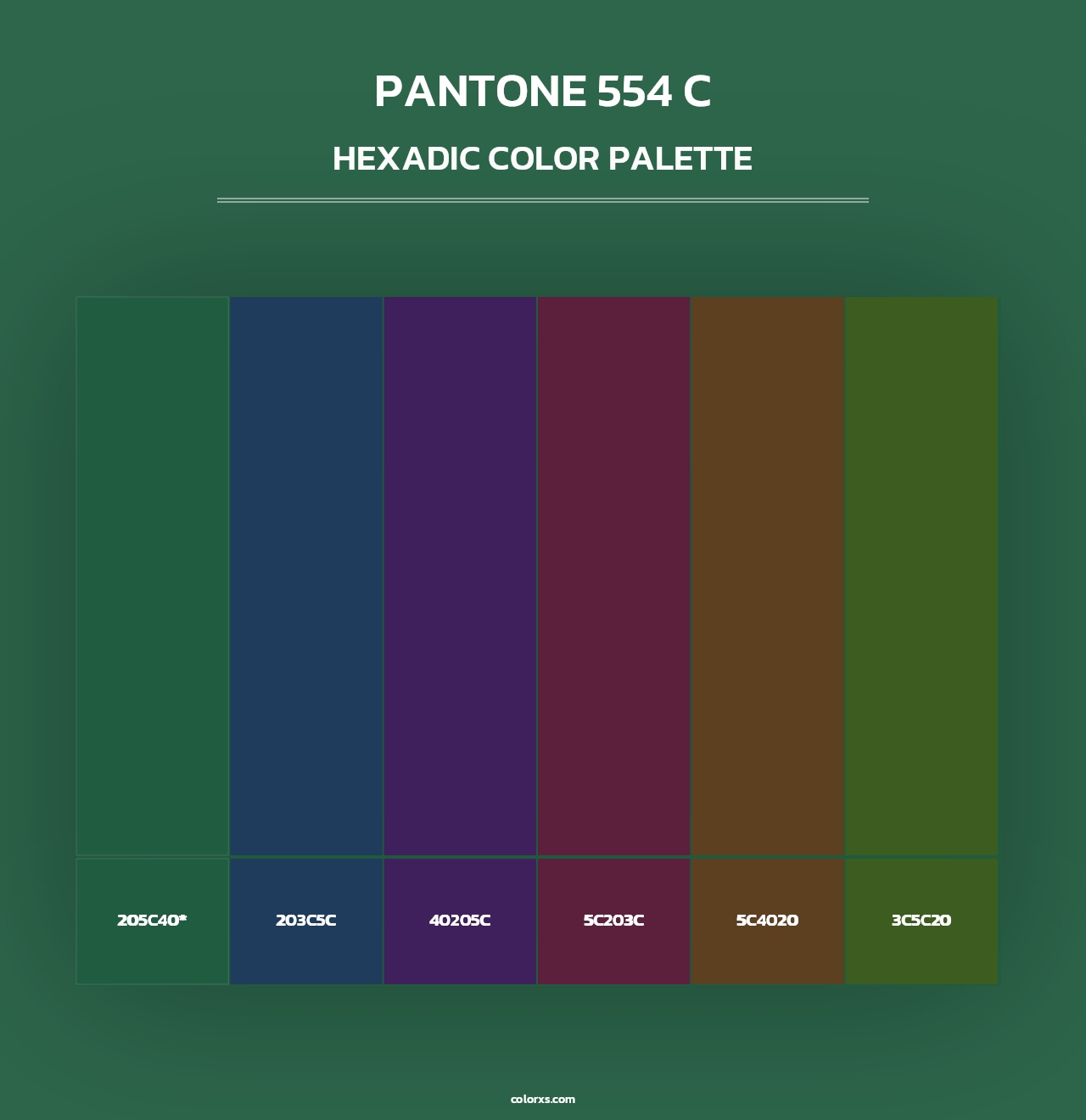 PANTONE 554 C - Hexadic Color Palette