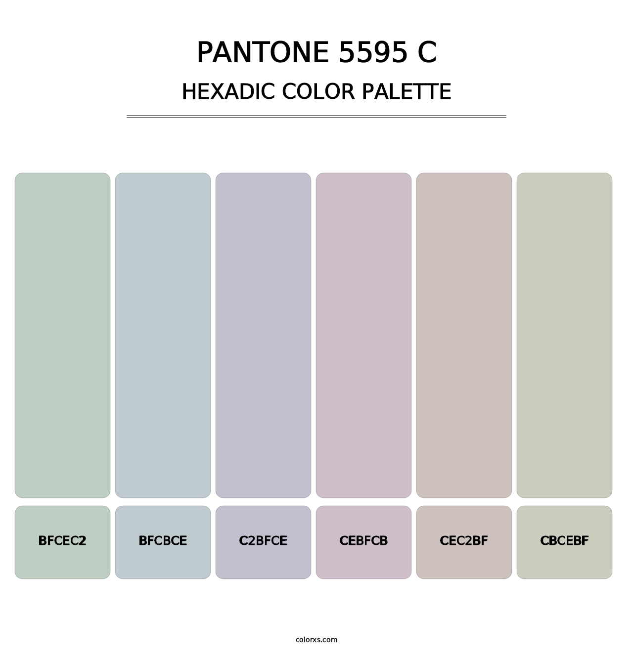 PANTONE 5595 C - Hexadic Color Palette