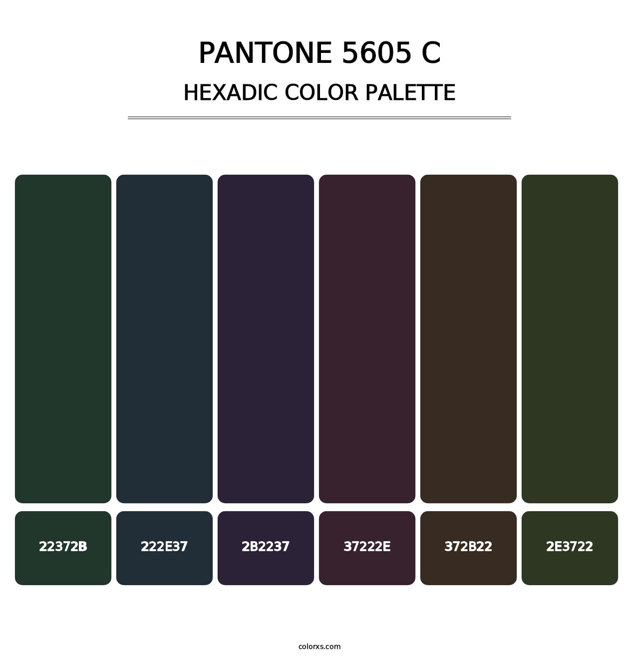 PANTONE 5605 C - Hexadic Color Palette
