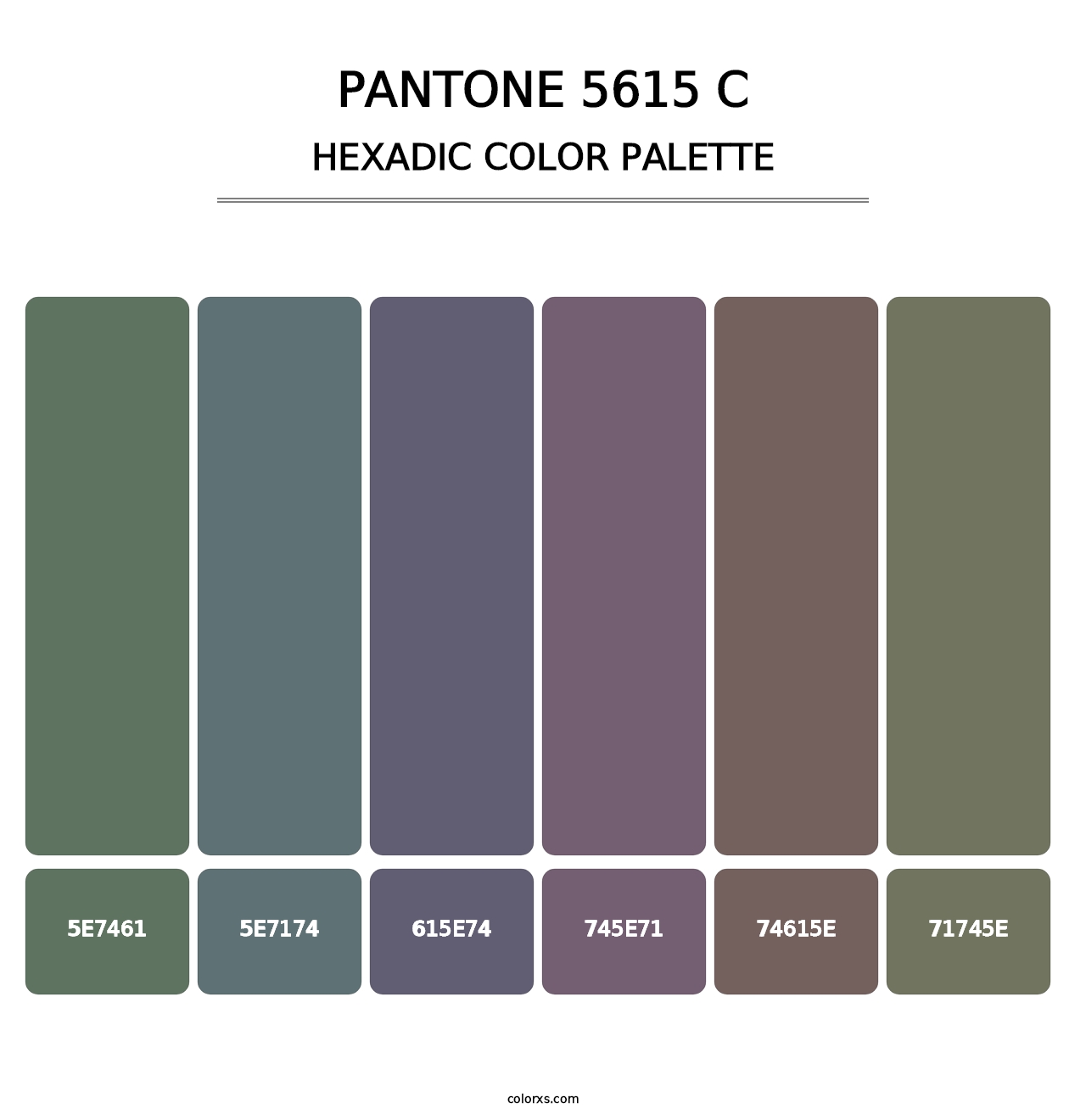 PANTONE 5615 C - Hexadic Color Palette