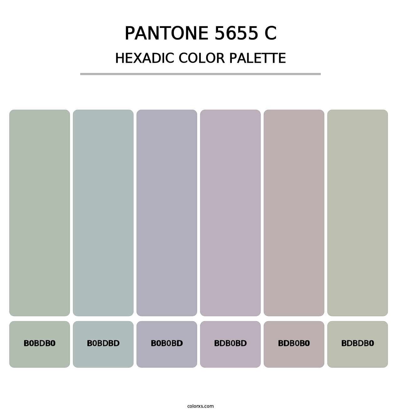 PANTONE 5655 C - Hexadic Color Palette