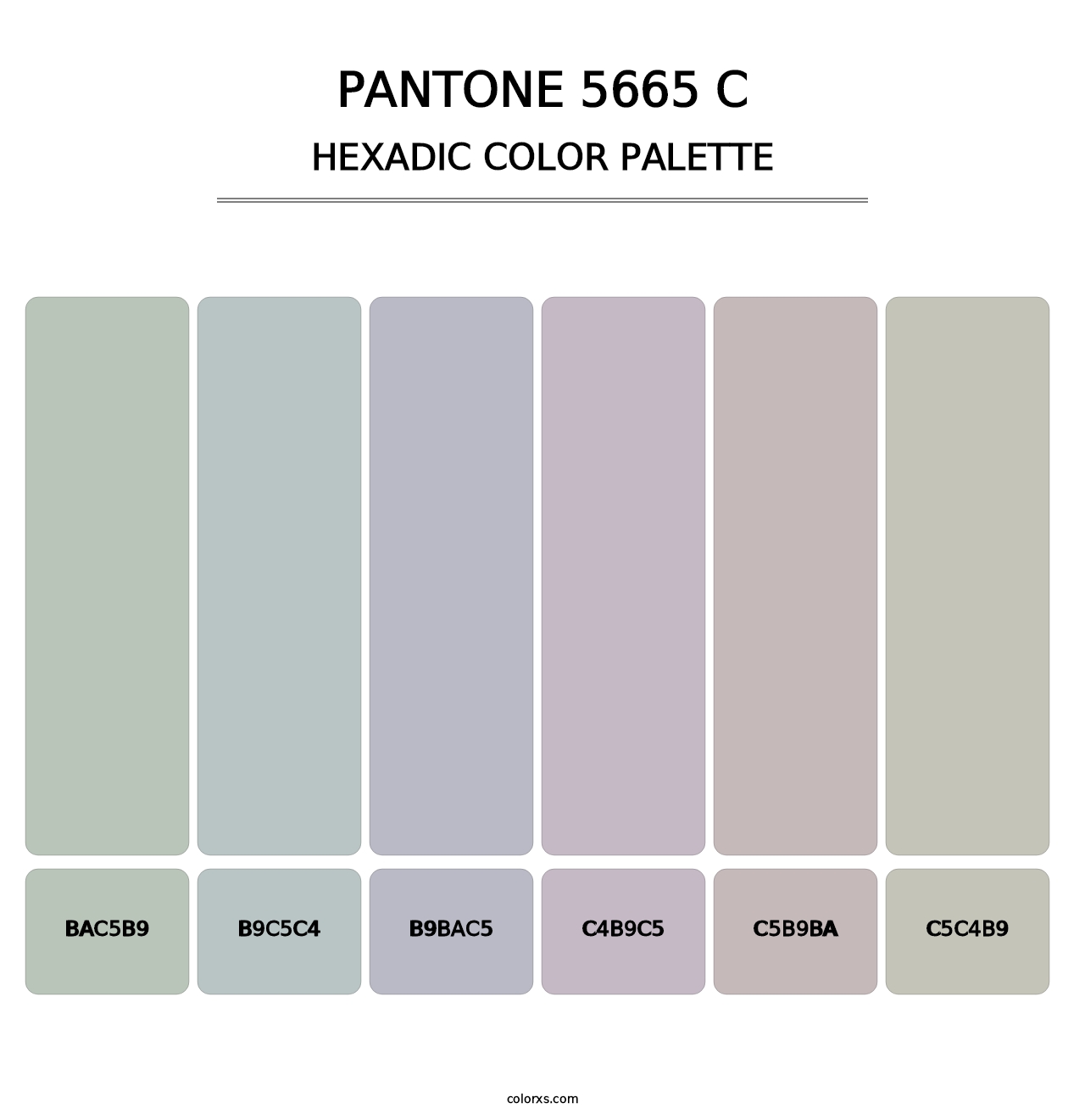PANTONE 5665 C - Hexadic Color Palette