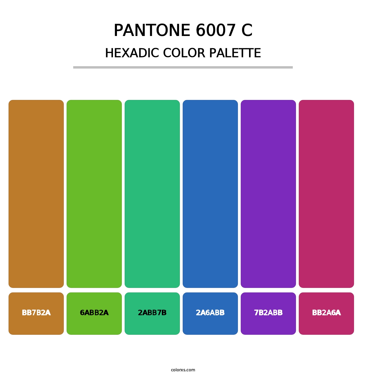PANTONE 6007 C - Hexadic Color Palette