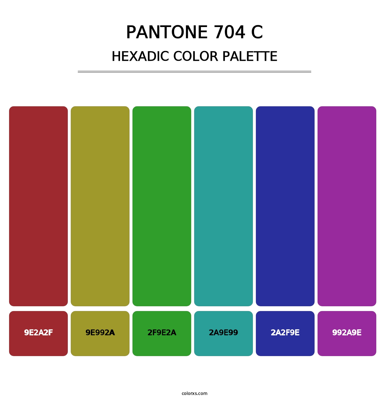 PANTONE 704 C - Hexadic Color Palette