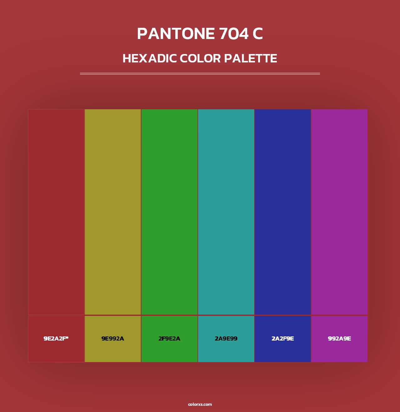 PANTONE 704 C - Hexadic Color Palette