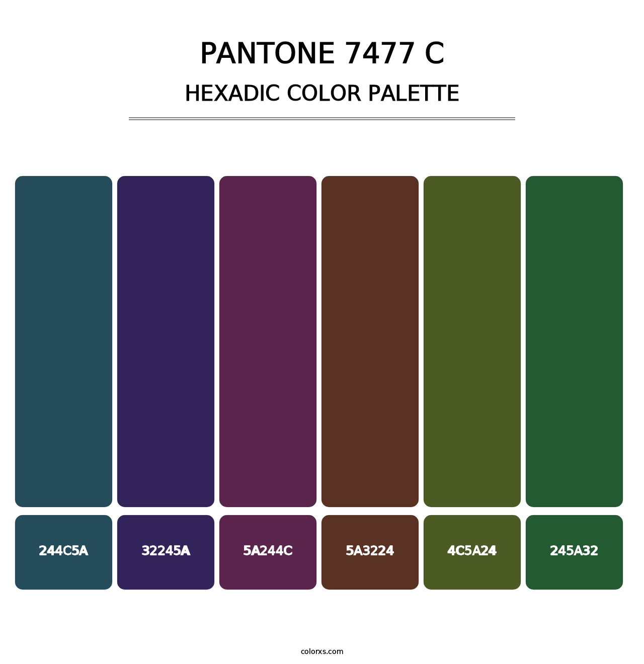 PANTONE 7477 C - Hexadic Color Palette