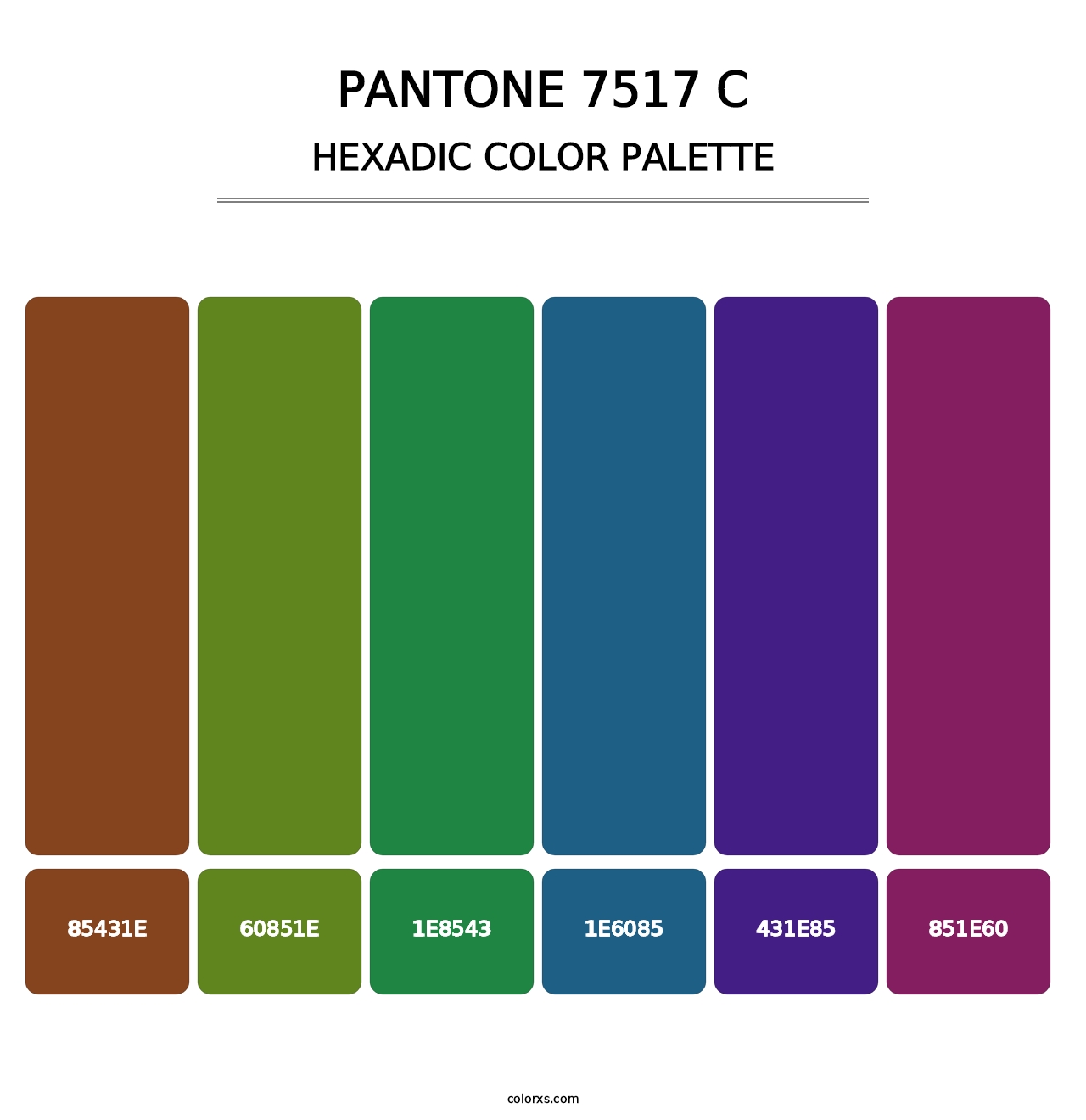 PANTONE 7517 C - Hexadic Color Palette