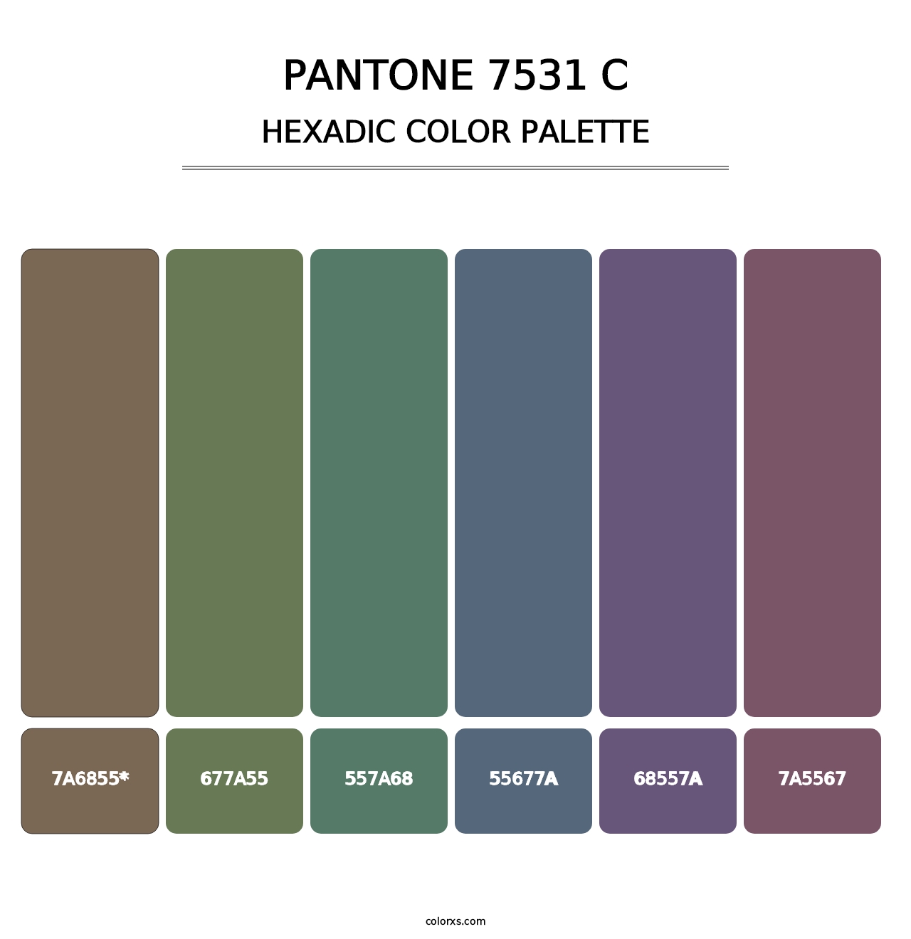PANTONE 7531 C - Hexadic Color Palette