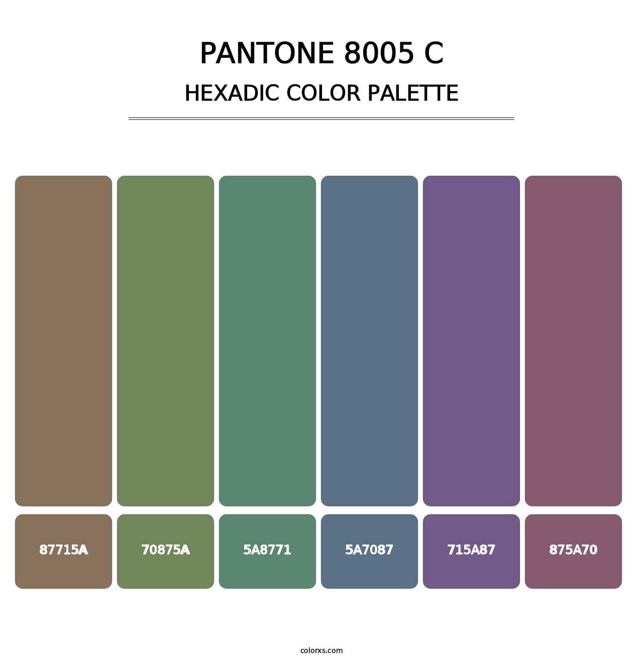PANTONE 8005 C - Hexadic Color Palette