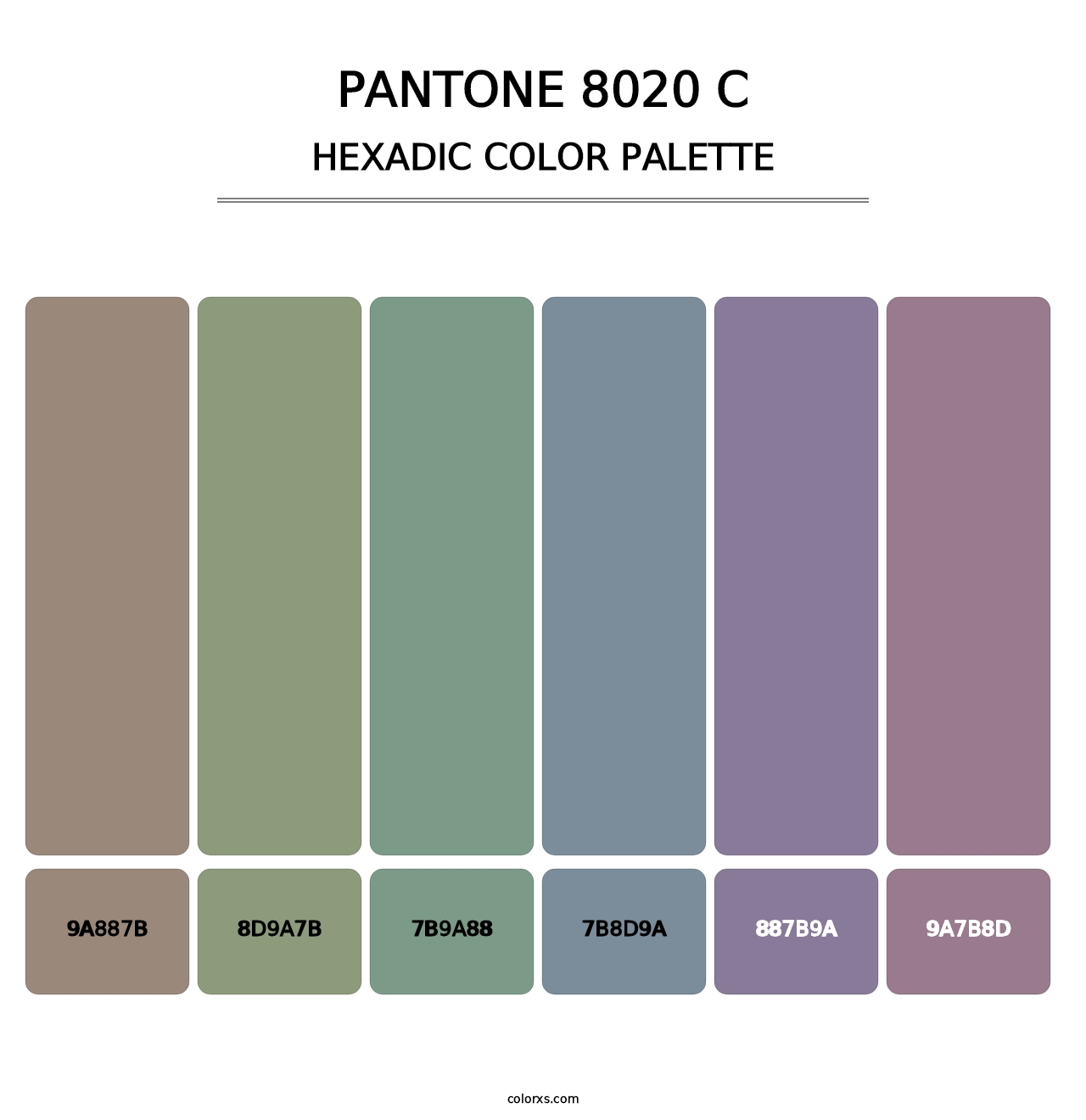 PANTONE 8020 C - Hexadic Color Palette