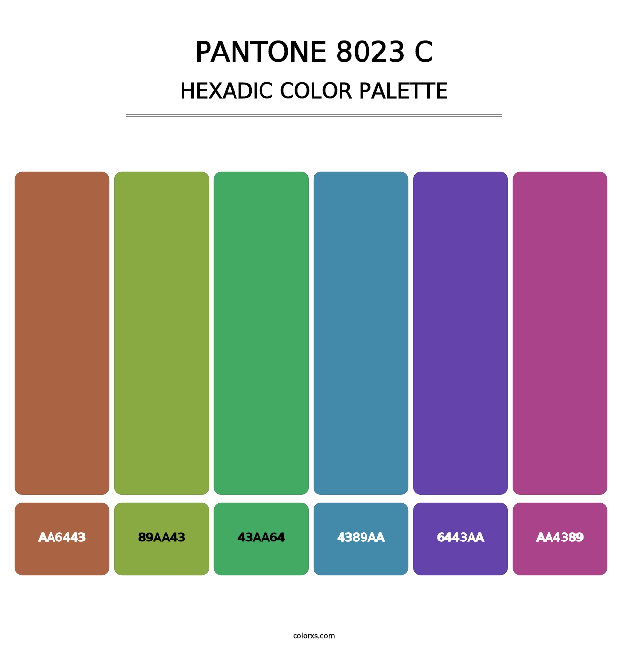PANTONE 8023 C - Hexadic Color Palette