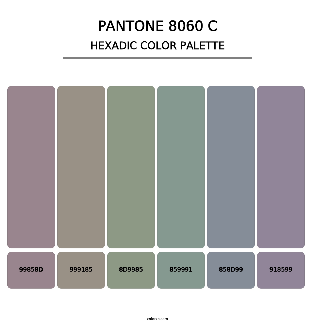 PANTONE 8060 C - Hexadic Color Palette