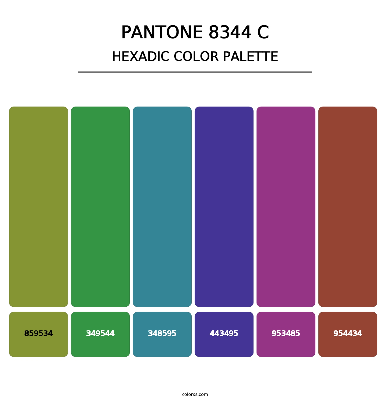 PANTONE 8344 C - Hexadic Color Palette