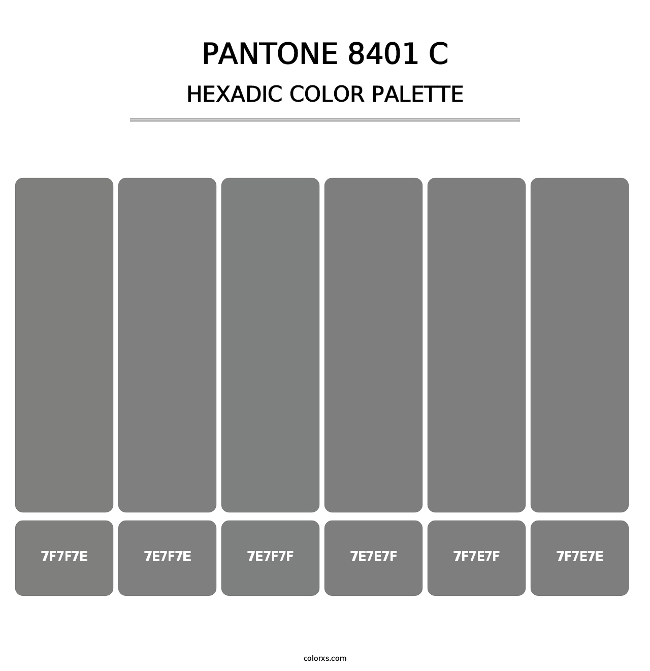 PANTONE 8401 C - Hexadic Color Palette