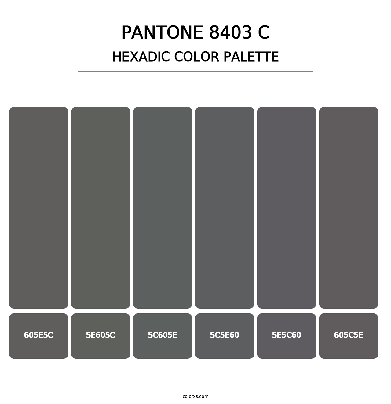 PANTONE 8403 C - Hexadic Color Palette