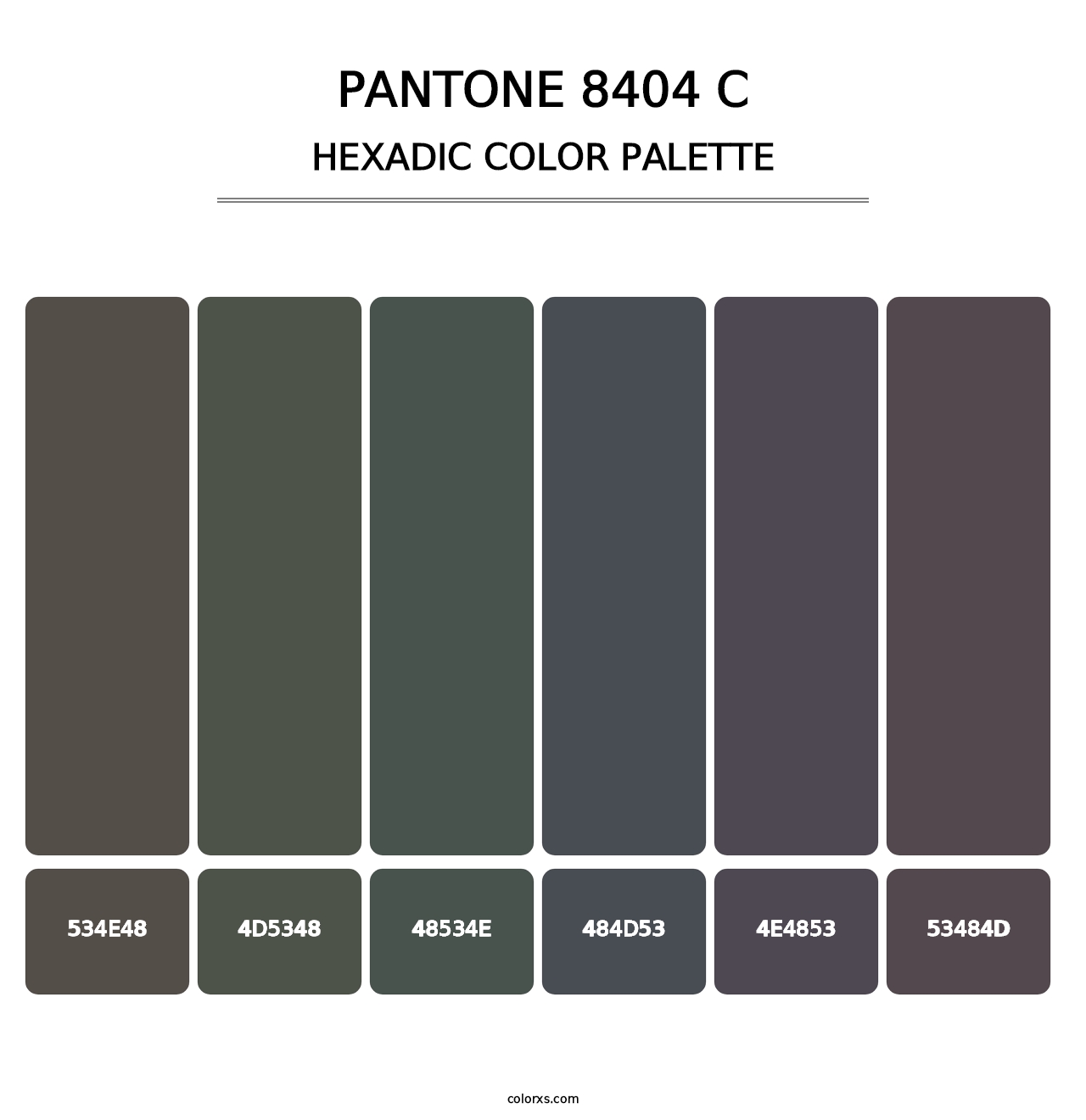 PANTONE 8404 C - Hexadic Color Palette