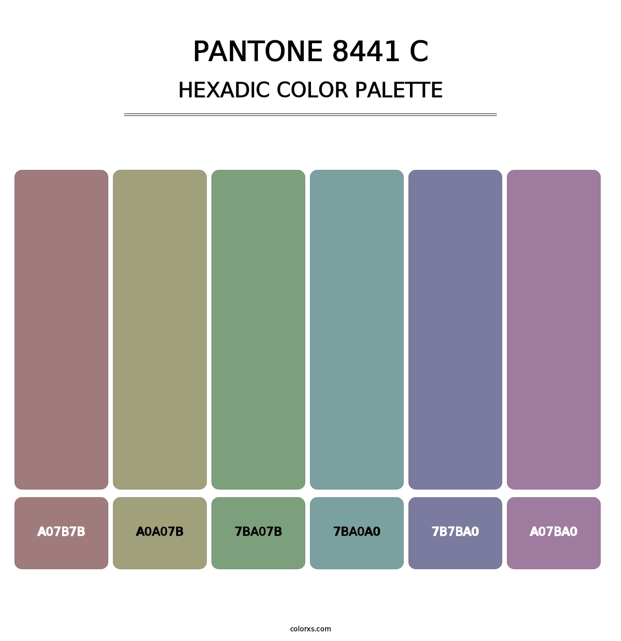 PANTONE 8441 C - Hexadic Color Palette