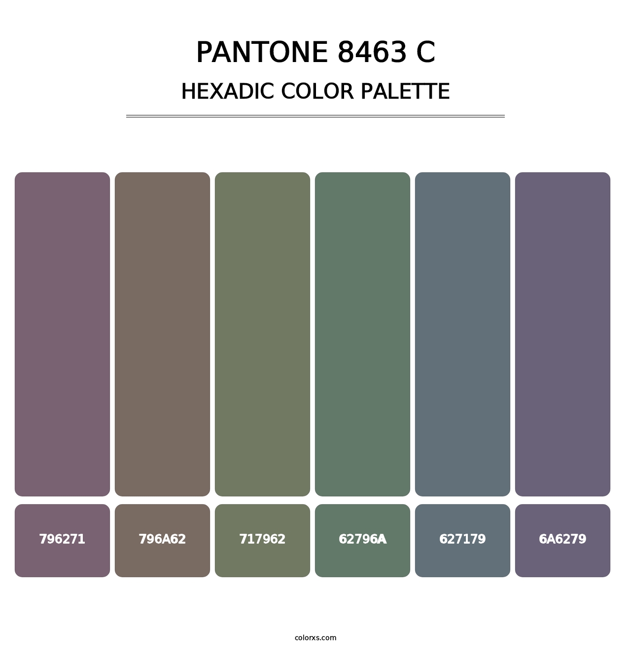PANTONE 8463 C - Hexadic Color Palette