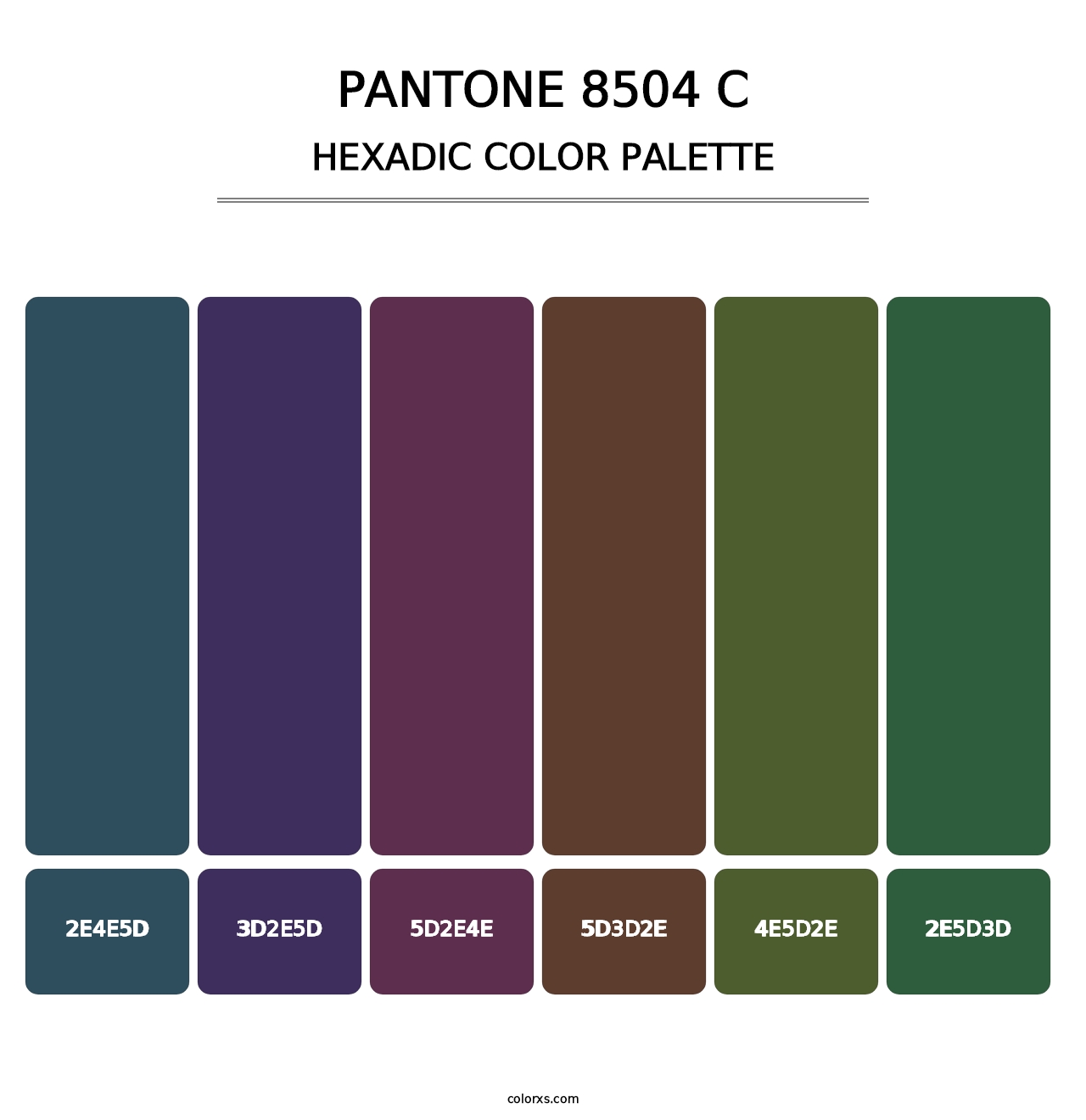 PANTONE 8504 C - Hexadic Color Palette