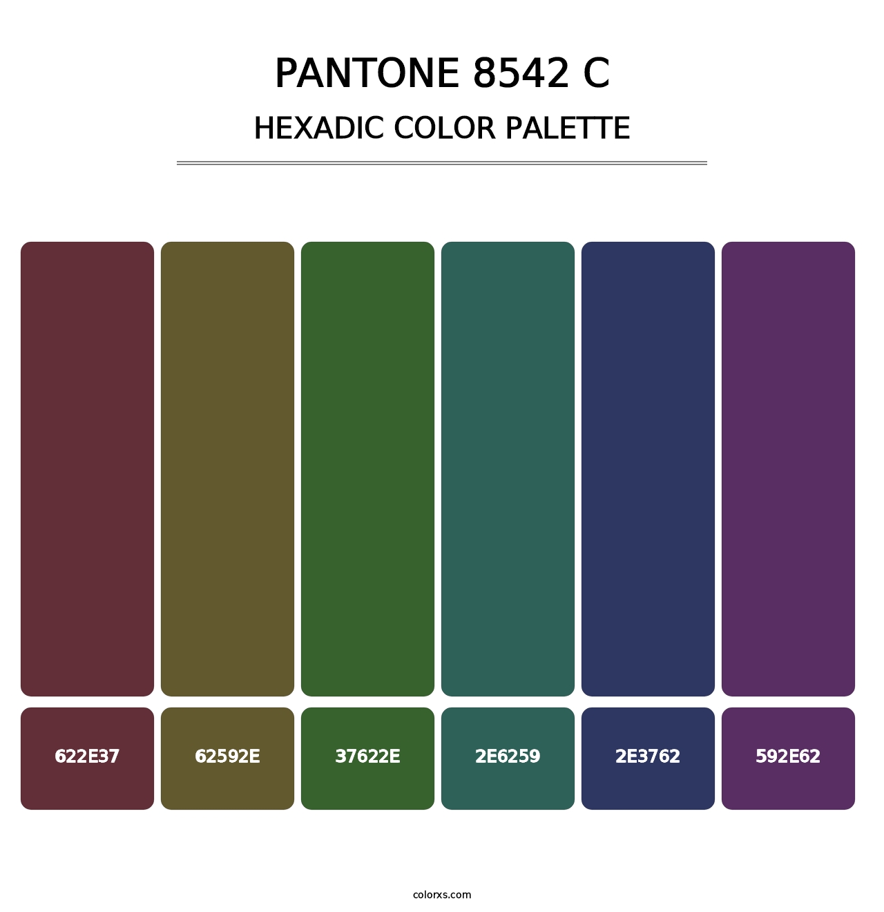 PANTONE 8542 C - Hexadic Color Palette