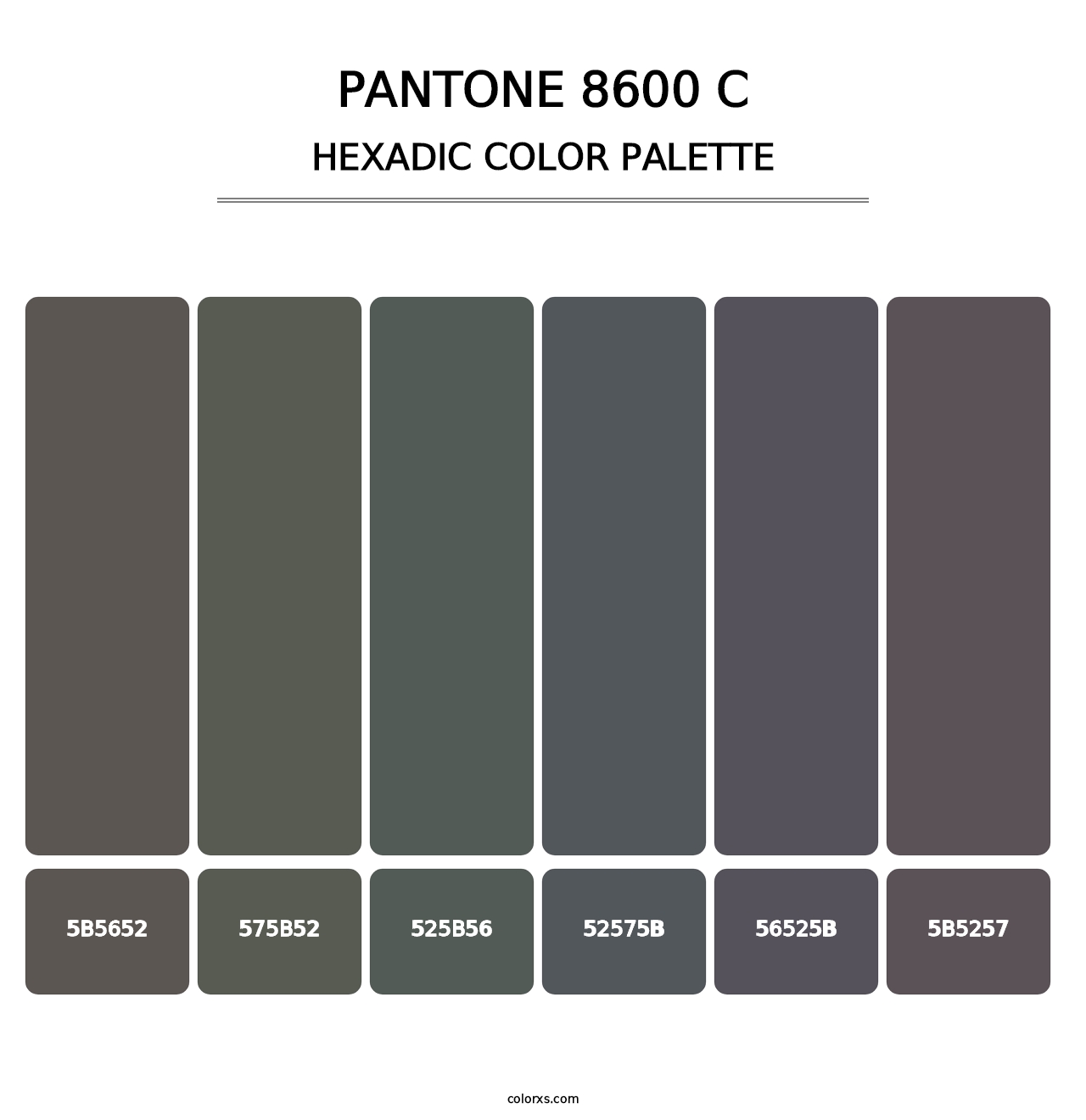 PANTONE 8600 C - Hexadic Color Palette