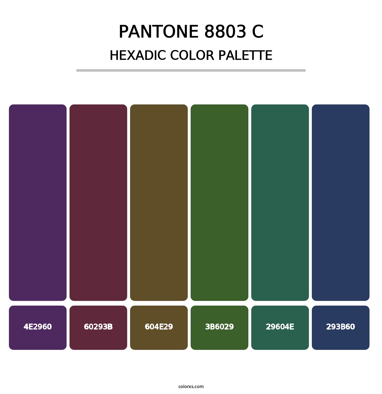 PANTONE 8803 C - Hexadic Color Palette