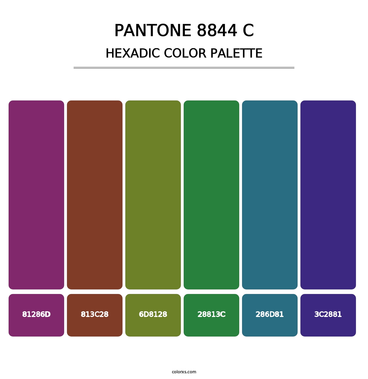 PANTONE 8844 C - Hexadic Color Palette