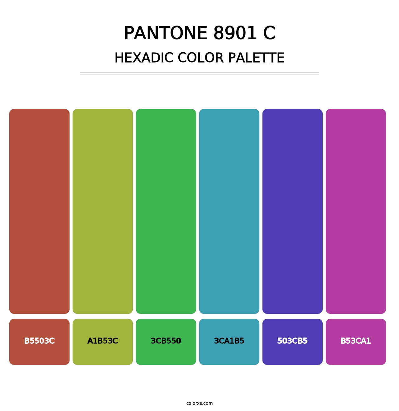 PANTONE 8901 C - Hexadic Color Palette