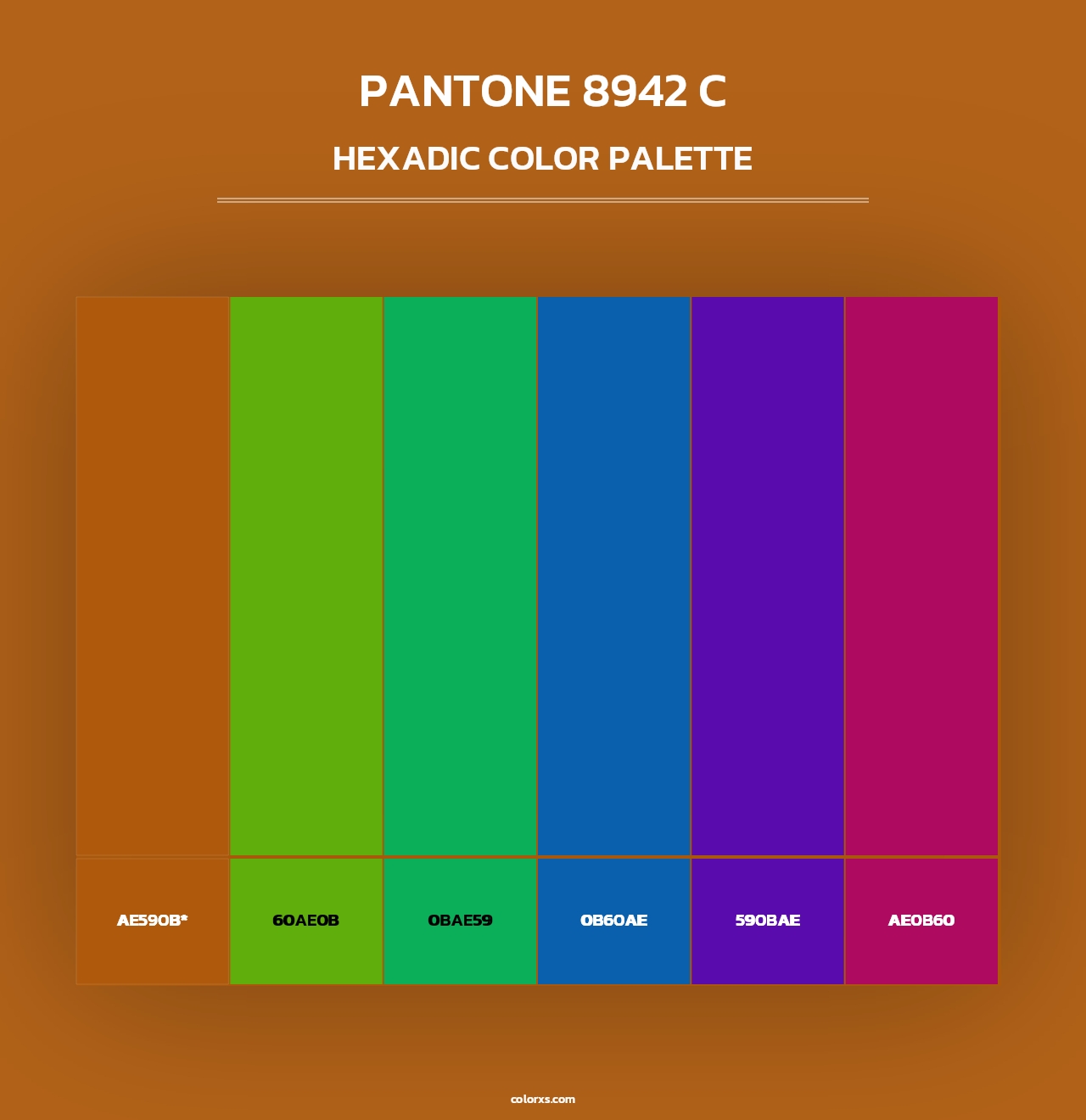 PANTONE 8942 C - Hexadic Color Palette