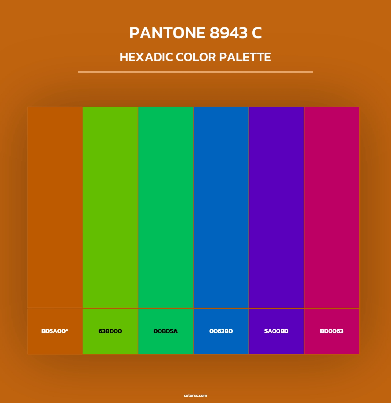 PANTONE 8943 C - Hexadic Color Palette