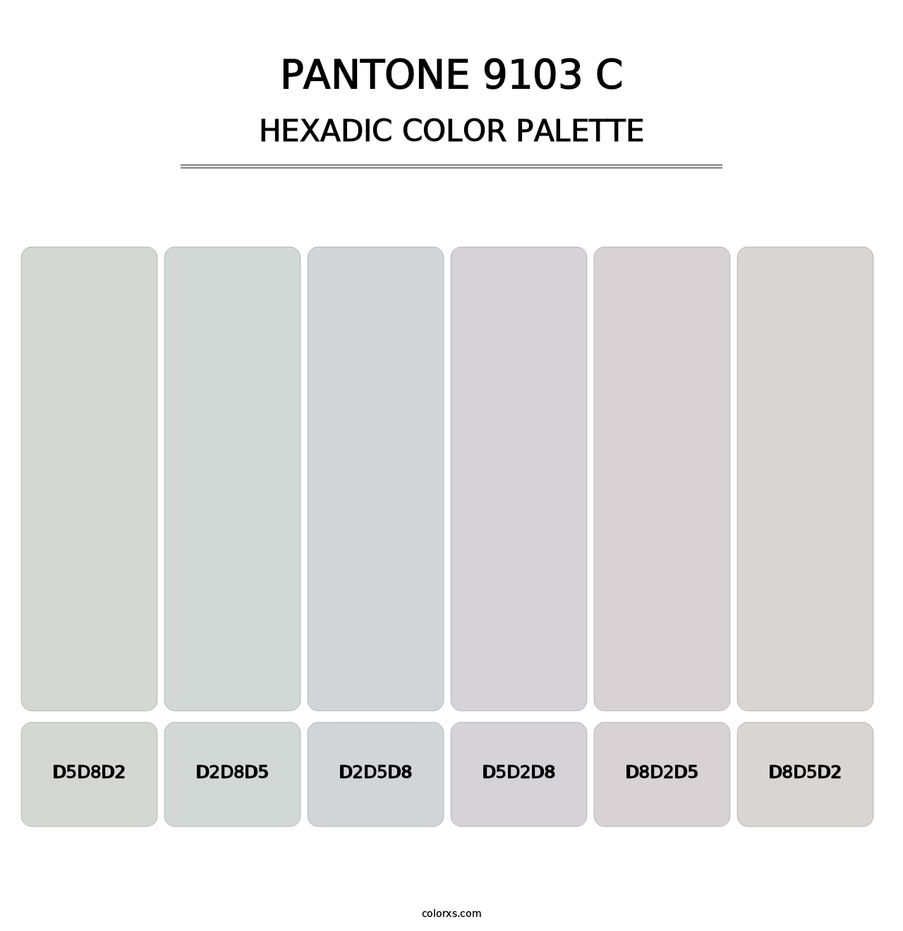 PANTONE 9103 C - Hexadic Color Palette