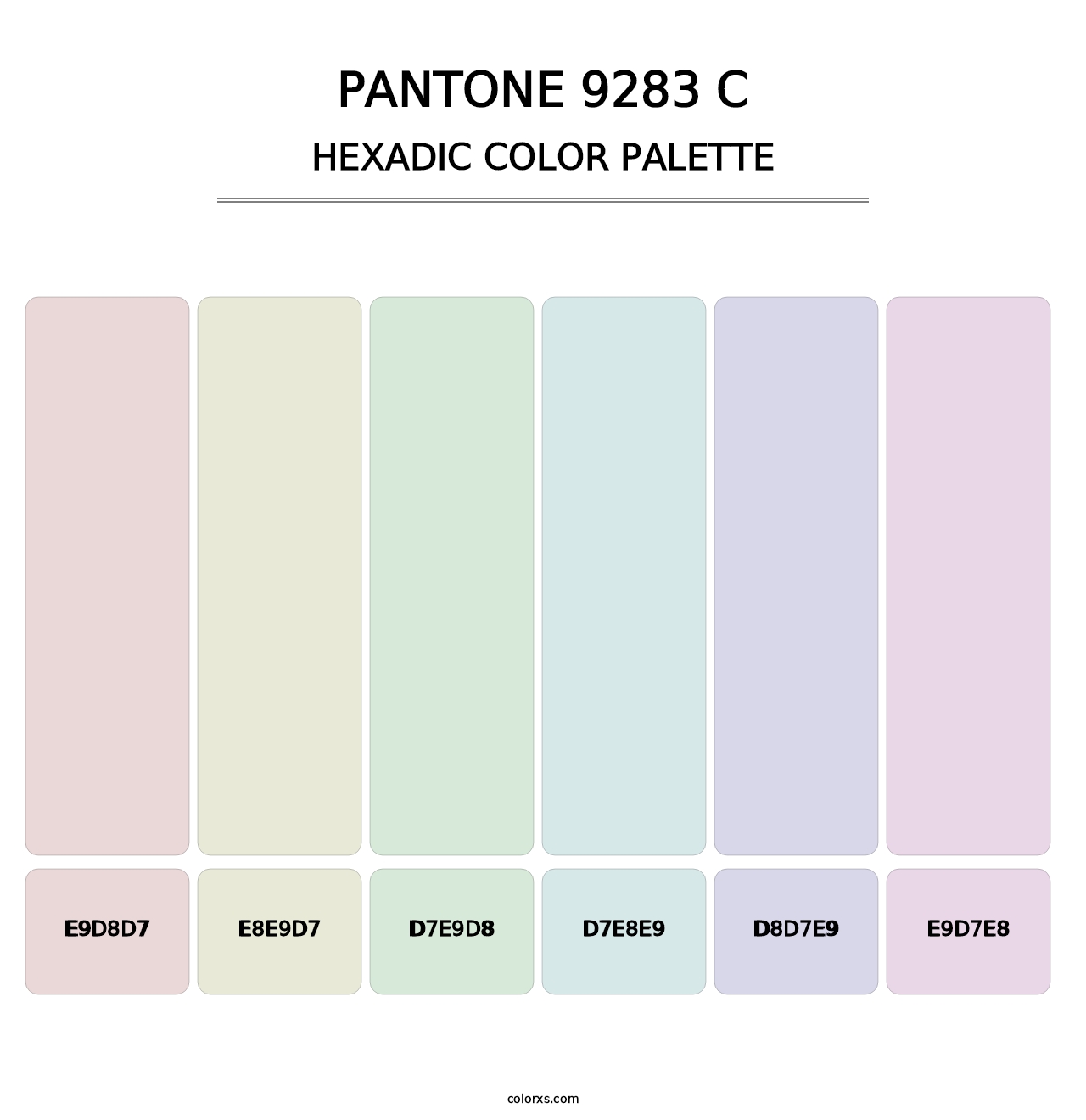 PANTONE 9283 C - Hexadic Color Palette