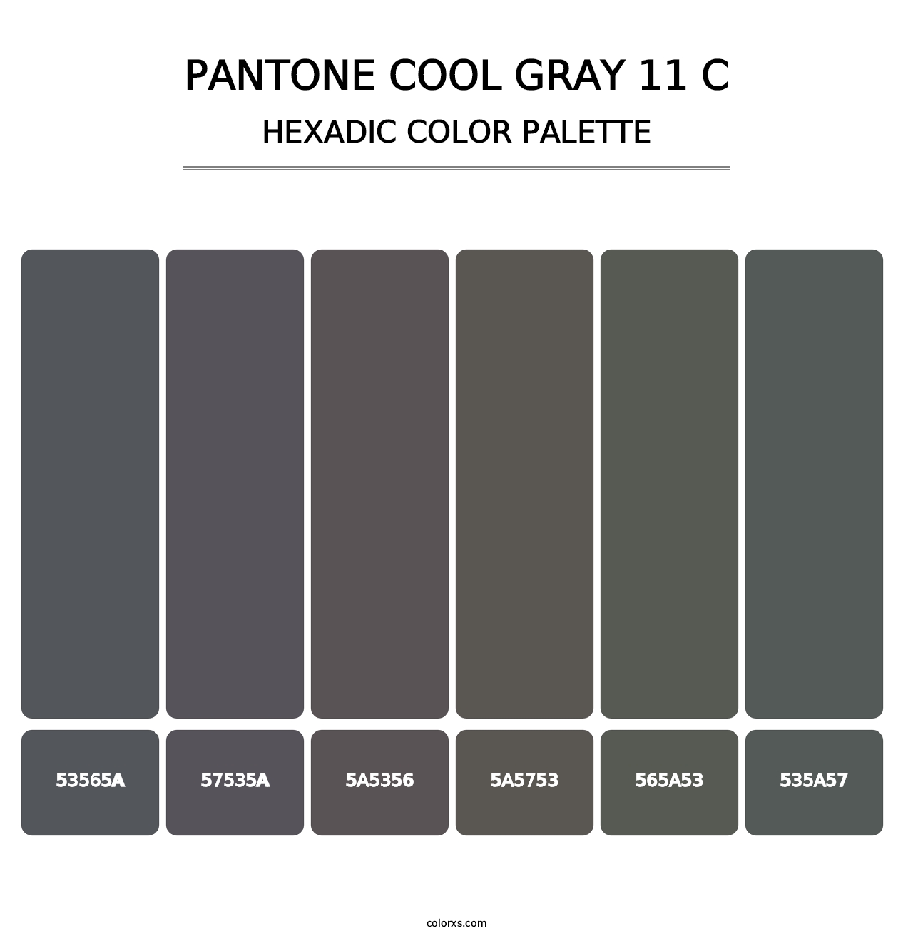 PANTONE Cool Gray 11 C - Hexadic Color Palette
