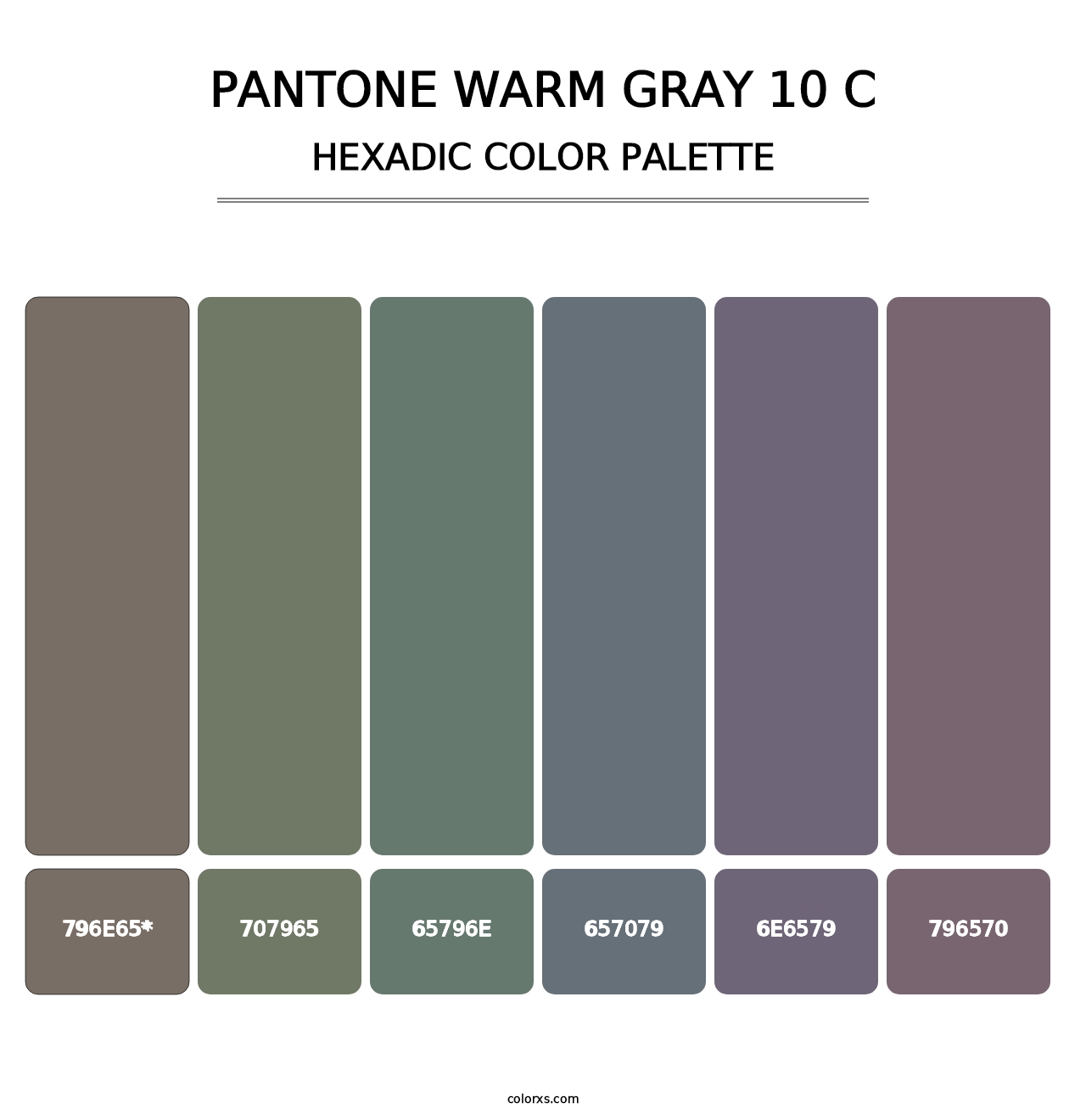 PANTONE Warm Gray 10 C - Hexadic Color Palette