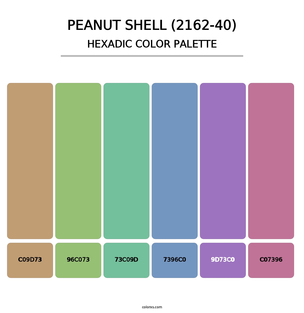 Peanut Shell (2162-40) - Hexadic Color Palette