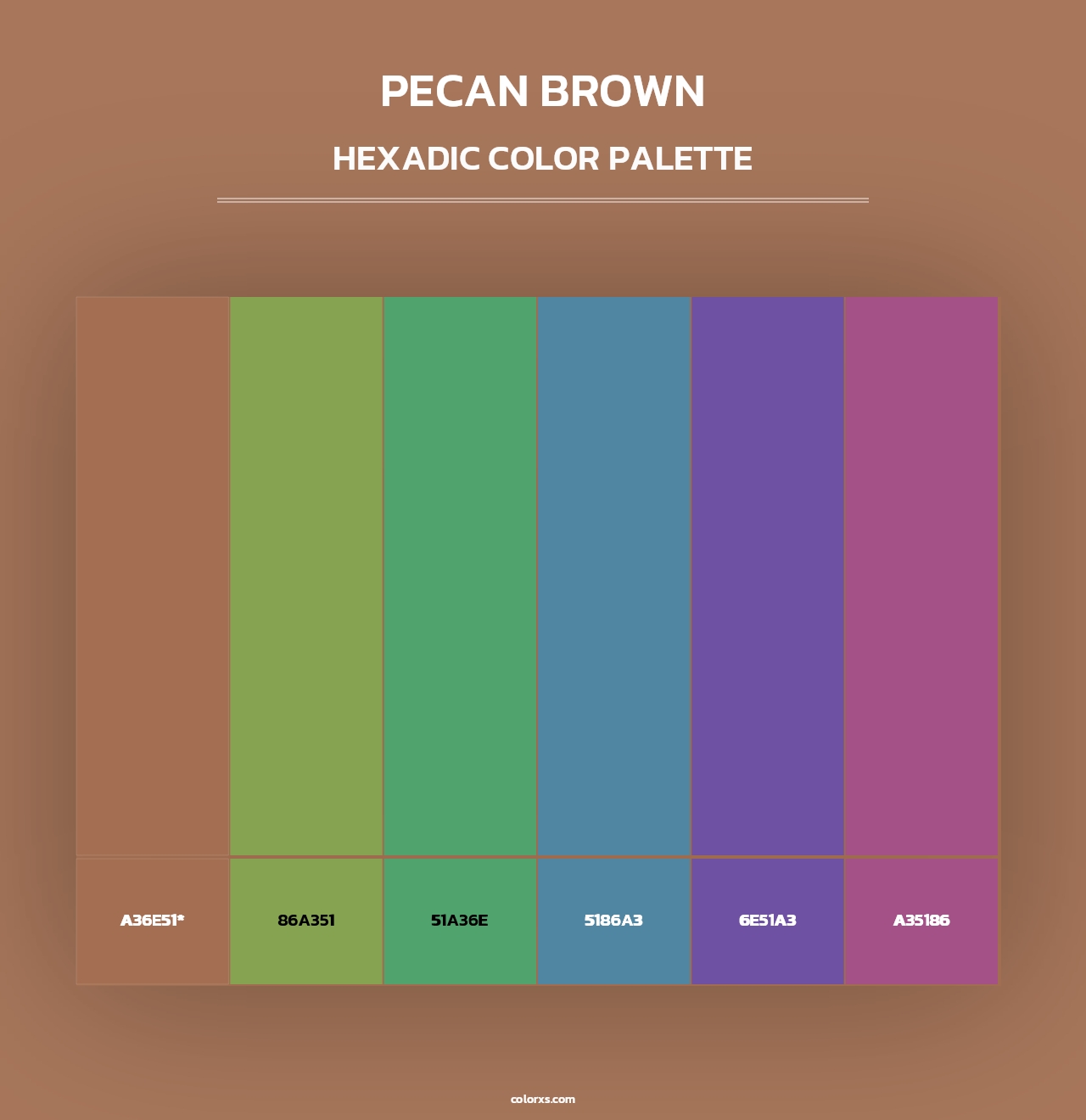 Pecan Brown - Hexadic Color Palette