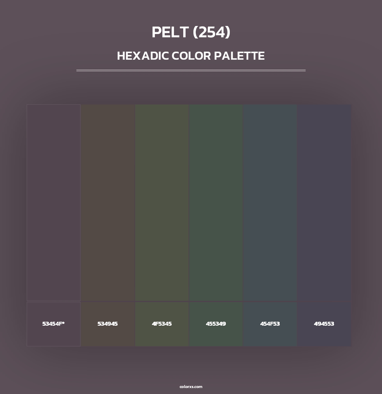 Pelt (254) - Hexadic Color Palette