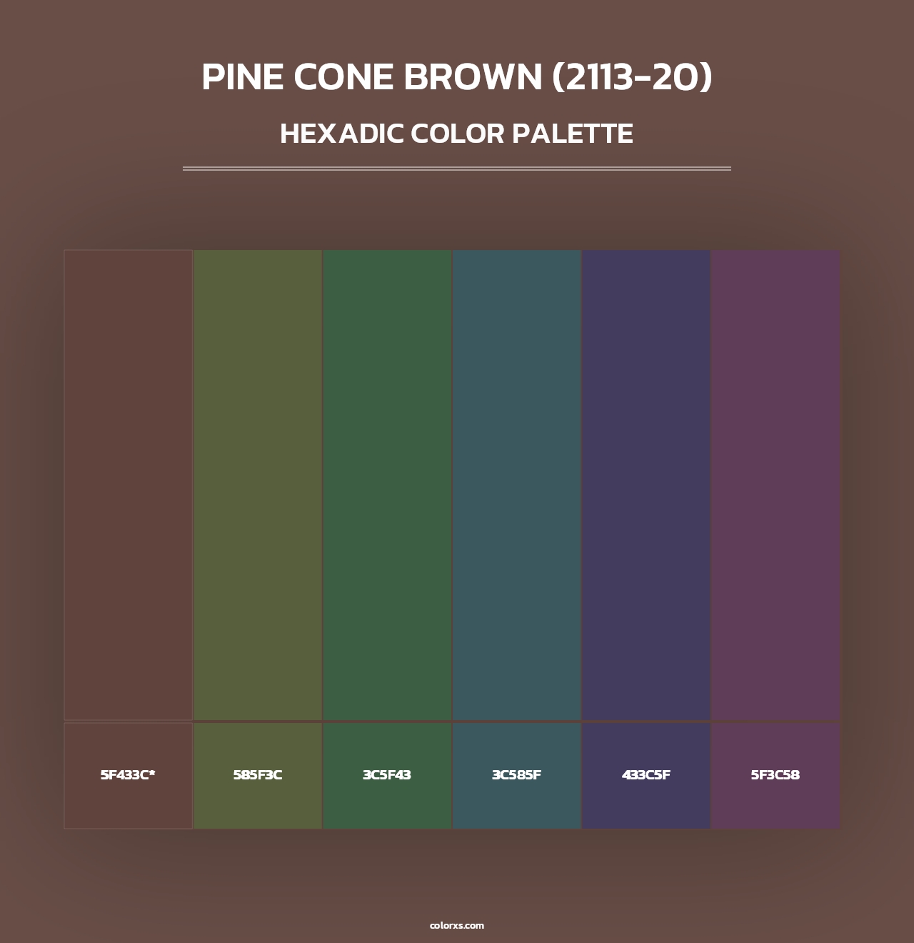 Pine Cone Brown (2113-20) - Hexadic Color Palette