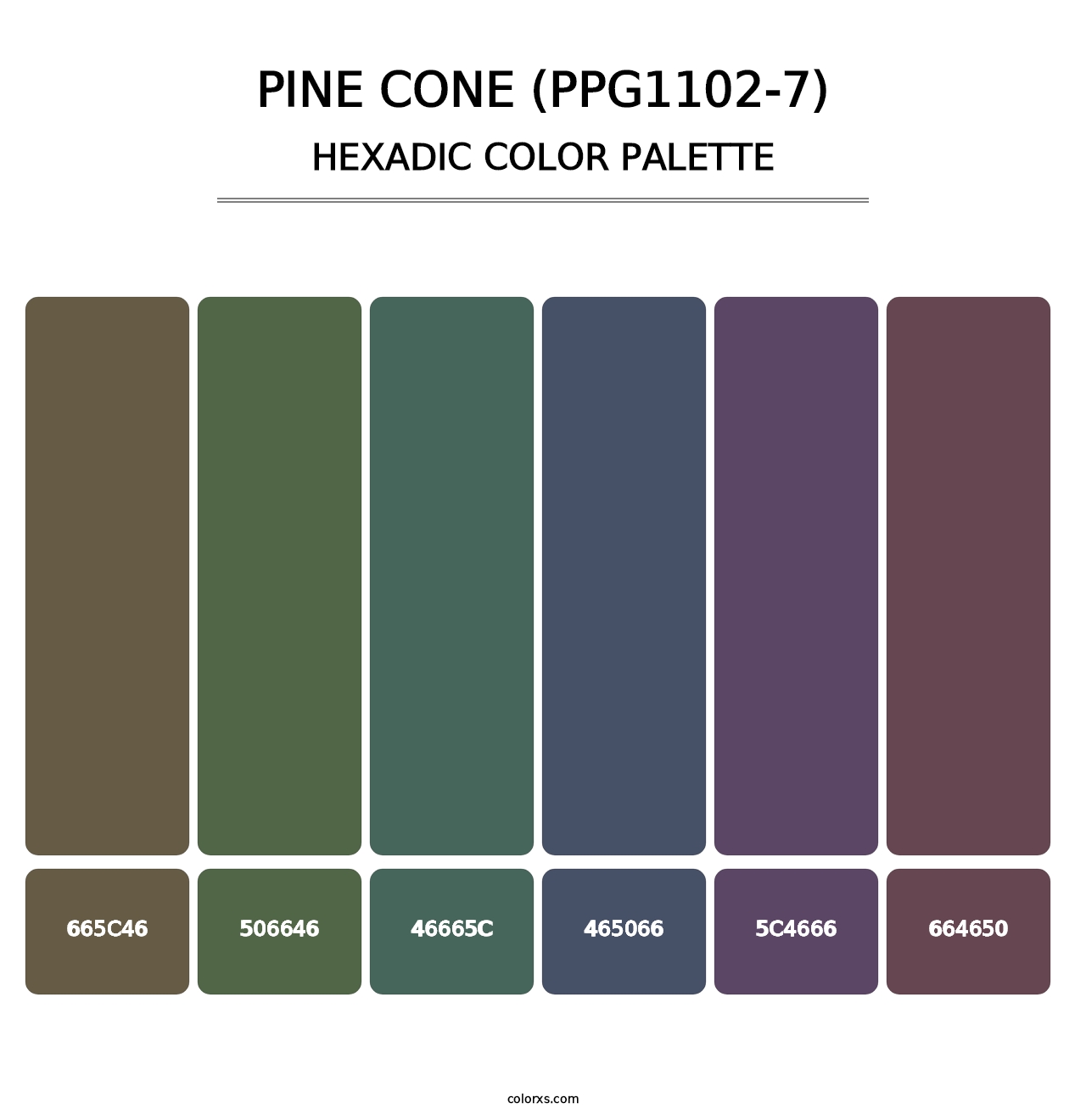 Pine Cone (PPG1102-7) - Hexadic Color Palette