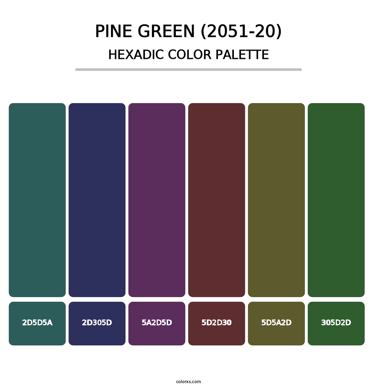 Pine Green (2051-20) - Hexadic Color Palette