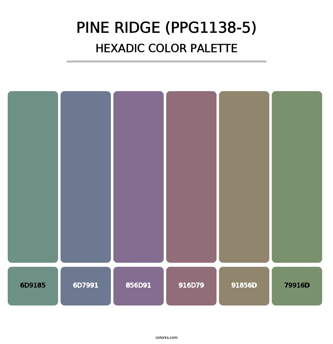 Pine Ridge (PPG1138-5) - Hexadic Color Palette