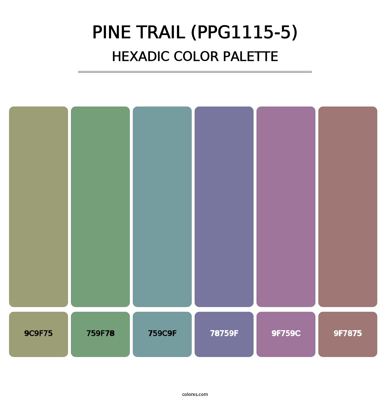Pine Trail (PPG1115-5) - Hexadic Color Palette