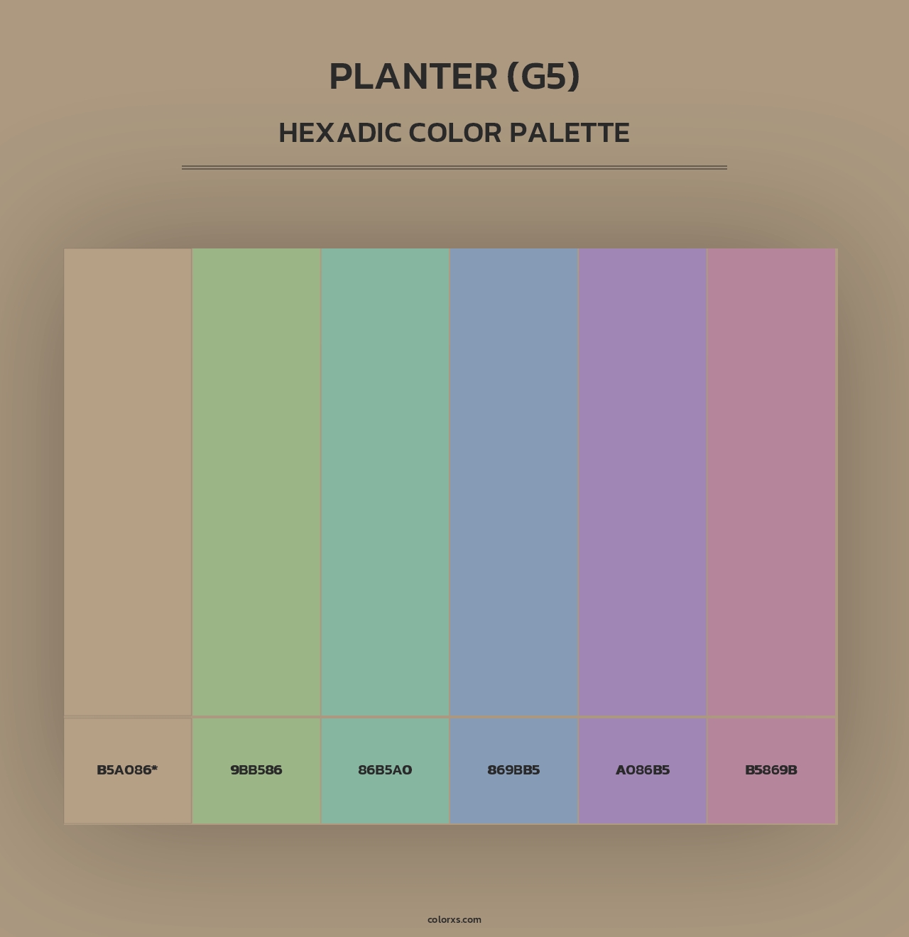 Planter (G5) - Hexadic Color Palette