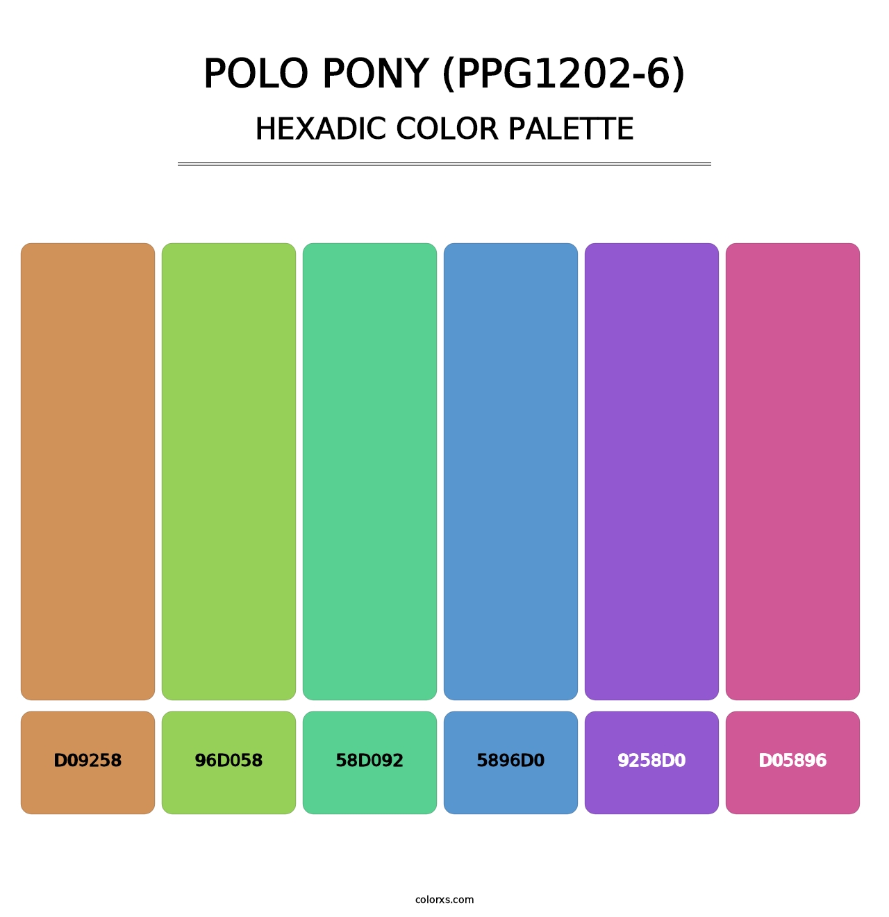 Polo Pony (PPG1202-6) - Hexadic Color Palette