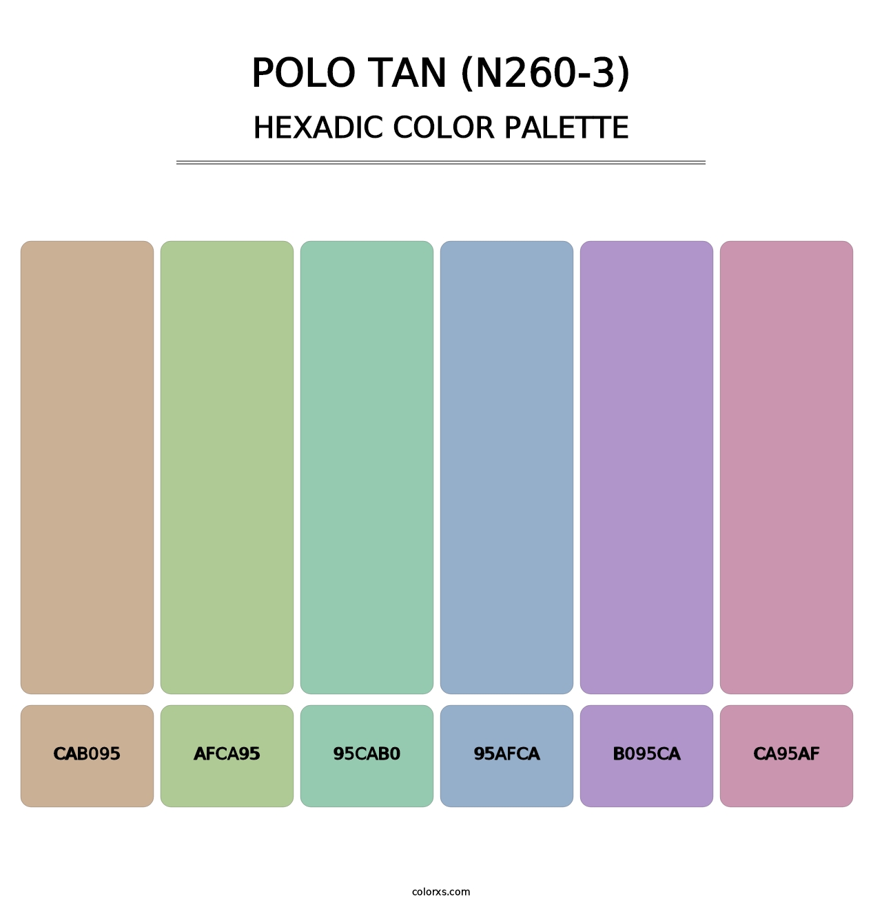 Polo Tan (N260-3) - Hexadic Color Palette